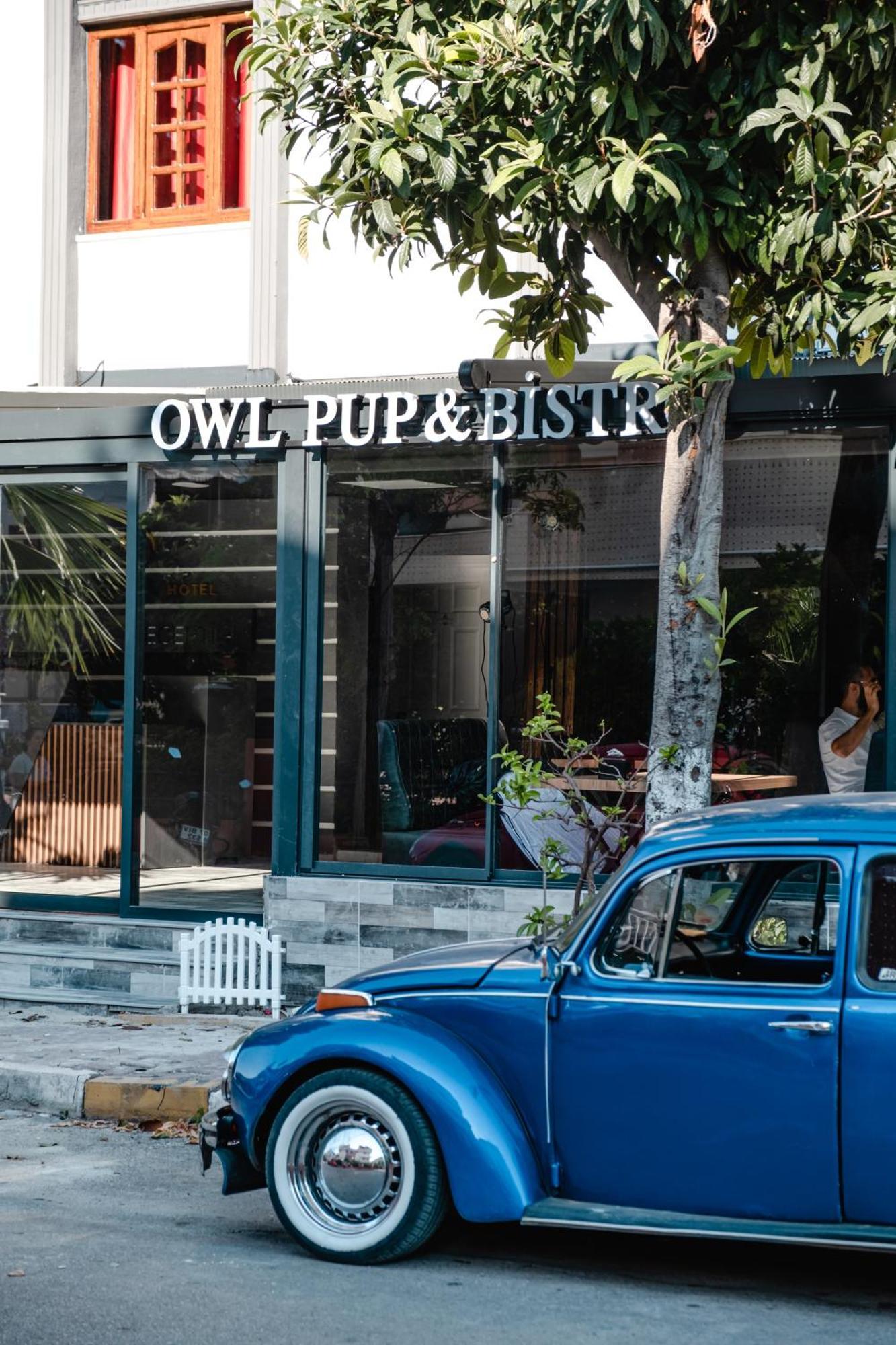 Orange Owl Hotel Antalya Exterior foto